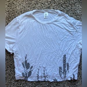 Senita cactus crop Large